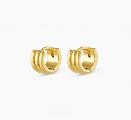 Des boucles d'oreilles en acier inoxydable pour femmes