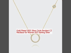 Collier en or plaqué S925 Cercle en argent Collier CZ Collier pour femmes 925 Sterling Silver